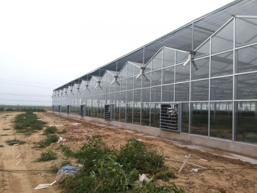 施工現場