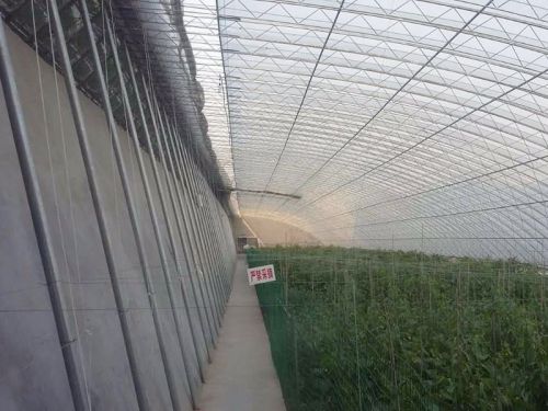 內遮陽系統
