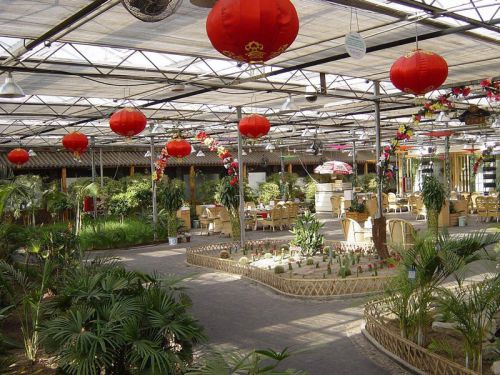 生態餐廳