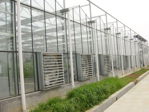 溫室工程的建設需要注意什么